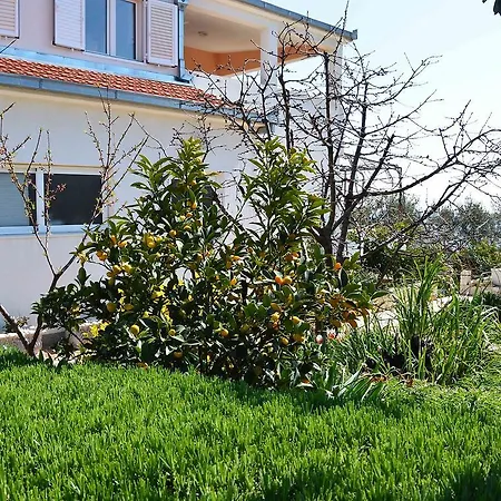 Sunce.2 *